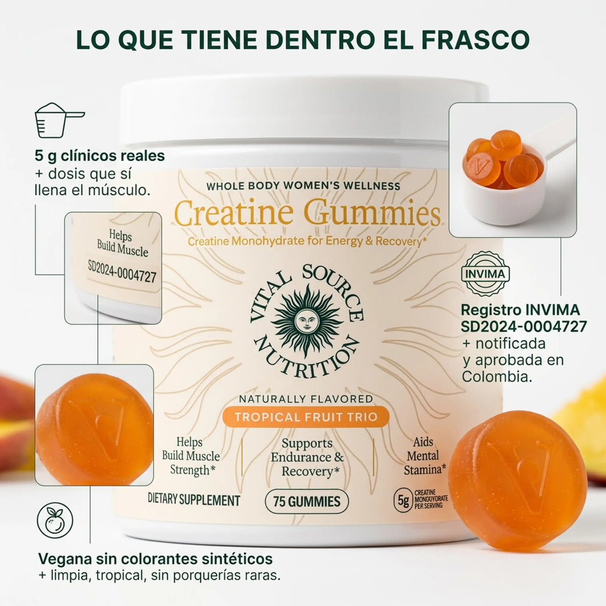 Creatine Gummies - Vital source