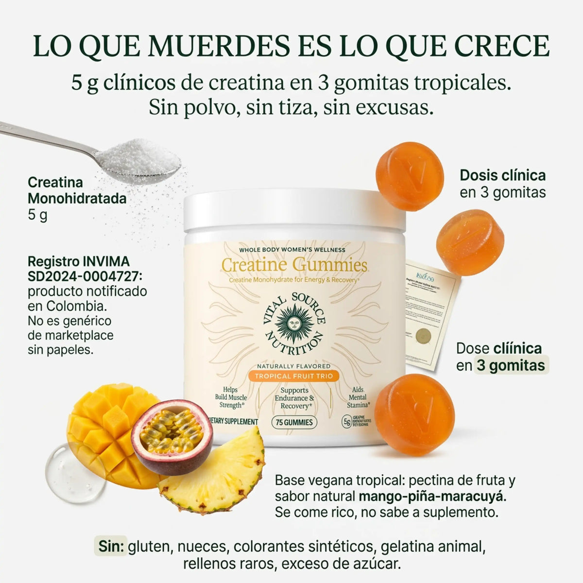 Creatine Gummies - Vital source