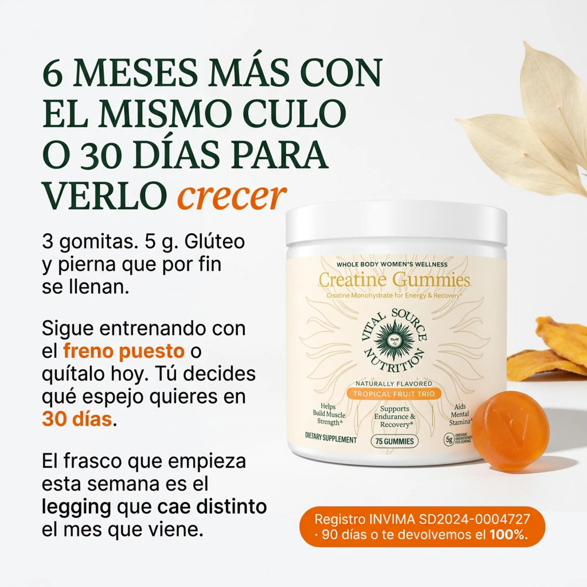 Creatine Gummies - Vital source